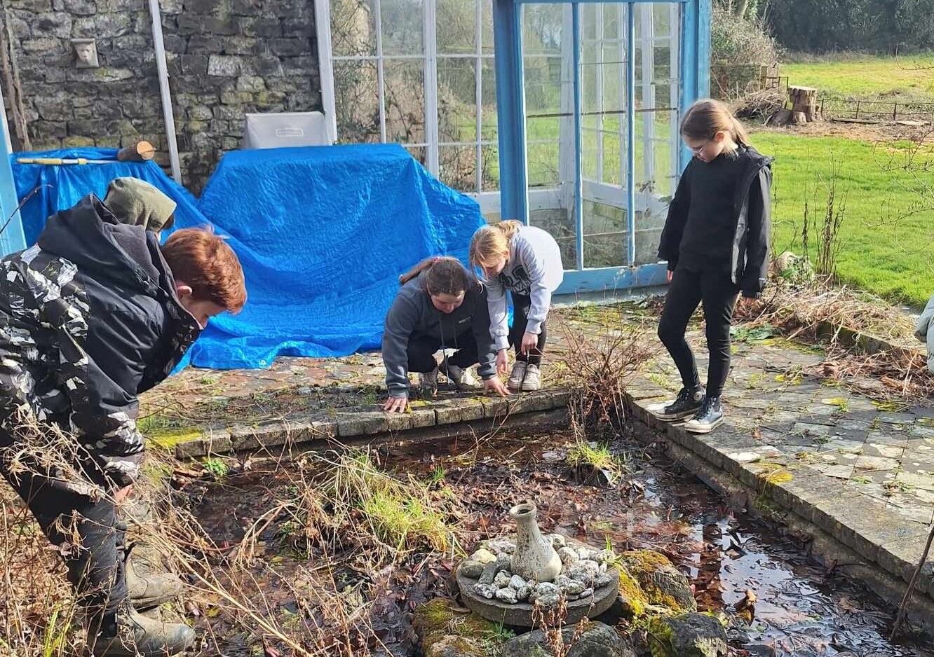 Children stand around a pond and look in to investigate pond life.