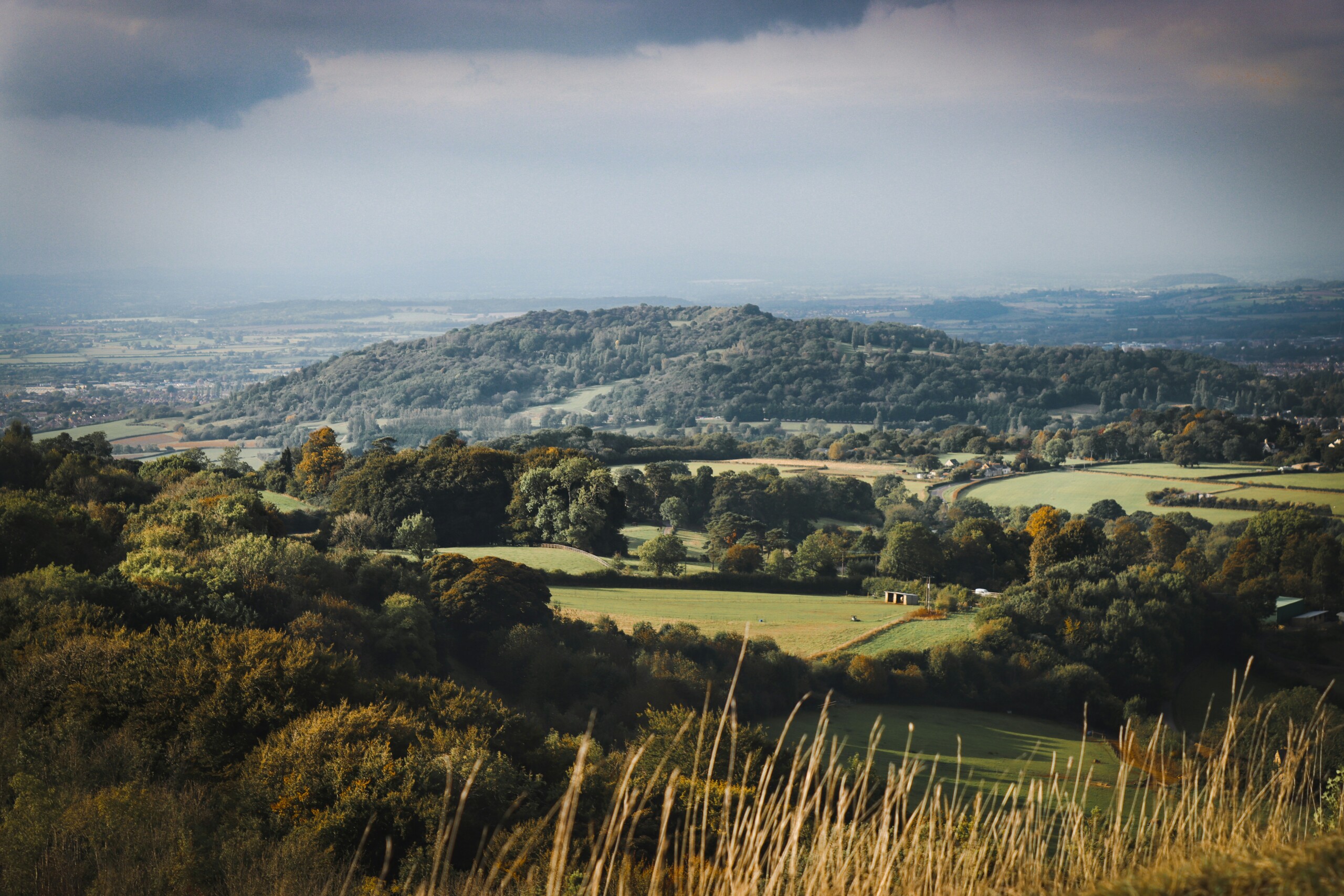 Cotswold countryside - fields of green and lots of trees